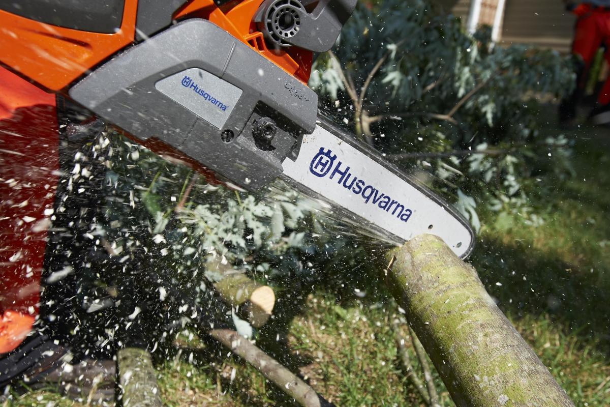 Jardinería sostenible o cómo cuidar el planeta desde tu propia casa