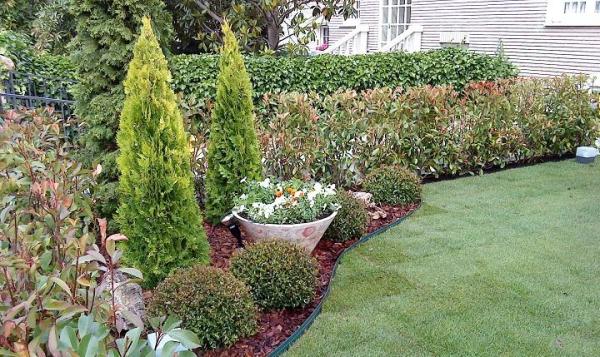 Árboles, setos y plantas de privacidad en el jardín - Los árboles