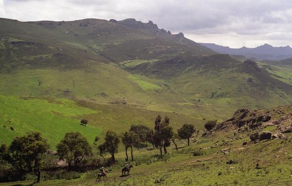 Las montañas más altas de África - Montañas Bale