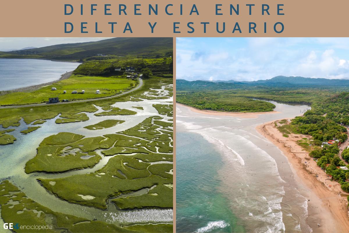 Diferencia entre delta y estuario