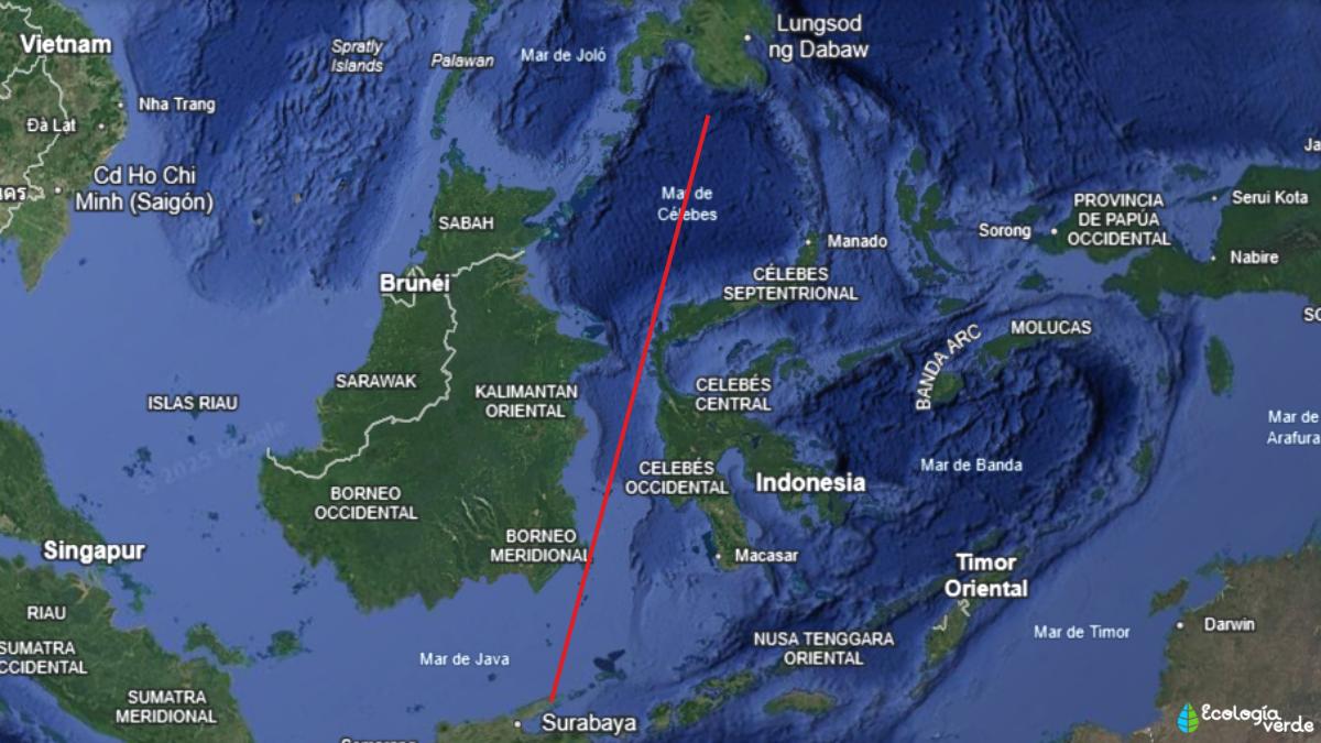 Línea de Wallace: qué es y por qué los animales no la cruzan