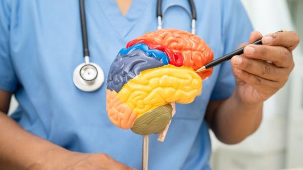 Lo que revela un estudio de Harvard tras seguir a miles de personas durante 40 años: el vínculo entre café, té y demencia - 40 años de datos y más de 130.000 personas