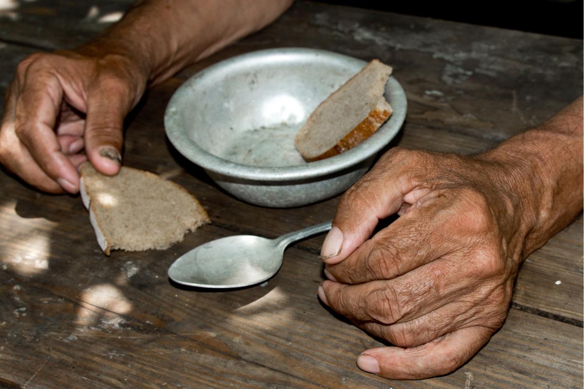 Escasez de alimentos qué es, causas y soluciones Resumen