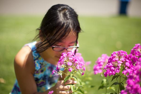 5 razones para disfrutar de la naturaleza todos los días - En la naturaleza, aprenderás a desconectar