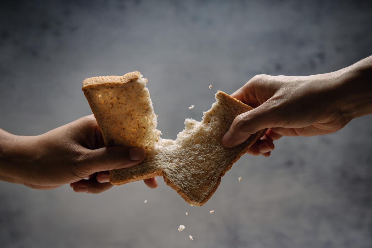 Escasez de alimentos qué es, causas y soluciones Resumen