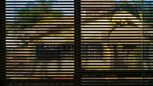 “Bloquear la radiación solar durante el día es lo más eficaz”: Germán Portillo, ambientólogo, explica cómo mantener la casa fresca sin aire acondicionado - La clave está en evitar que el calor entre en casa