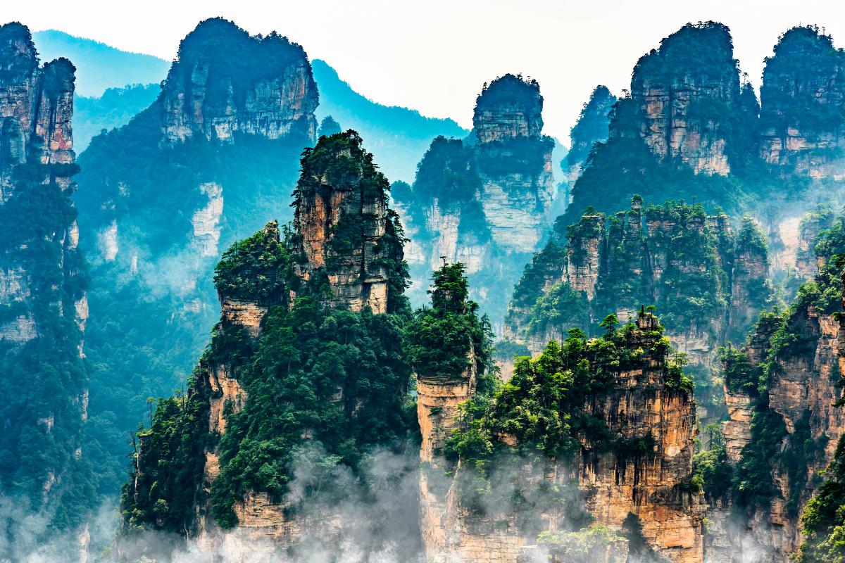 Clima chino: qué es, localización, características, flora y fauna