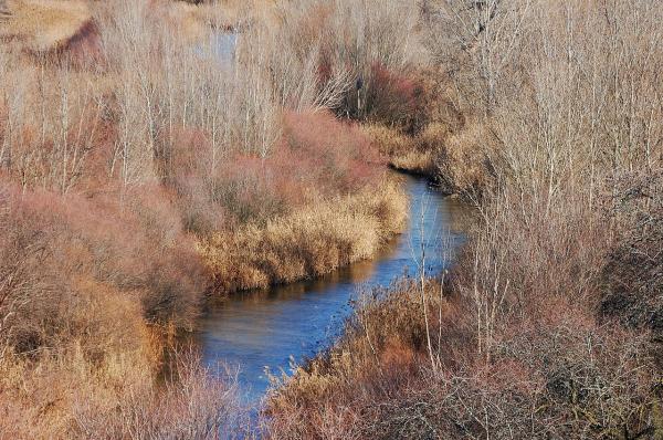 Río Guadarrama - Importancia del río Guadarrama