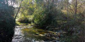 Río Guadarrama