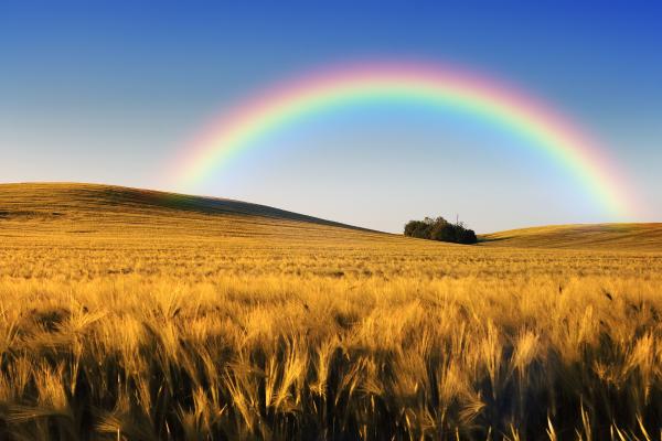 Fotometeoros: qué son y ejemplos - Arcoíris