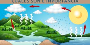 Ciclos biogeoquímicos: qué son, cuáles son e importancia