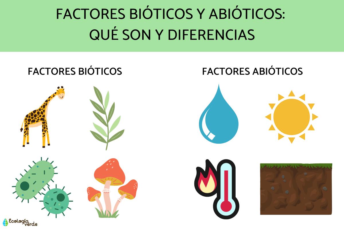 Factores bióticos y abióticos: qué son y diferencias