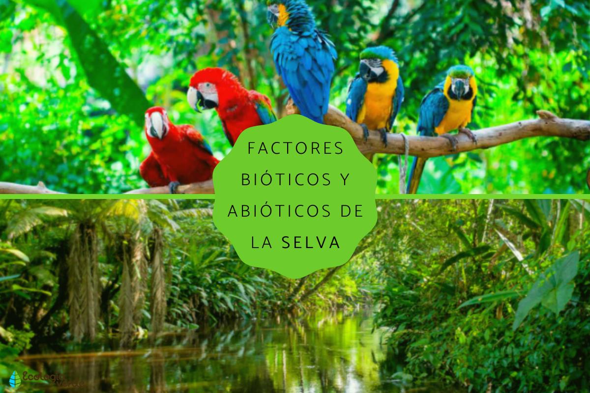 Factores bióticos y abióticos de la selva