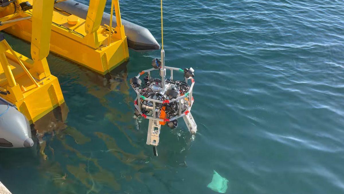 Los biólogos marinos celebran un avance histórico: en Europa un robot ya retira basura del océano con IA