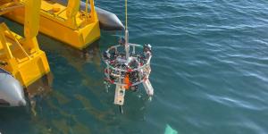 Los biólogos marinos celebran un avance histórico: en Europa un robot ya retira basura del océano con IA