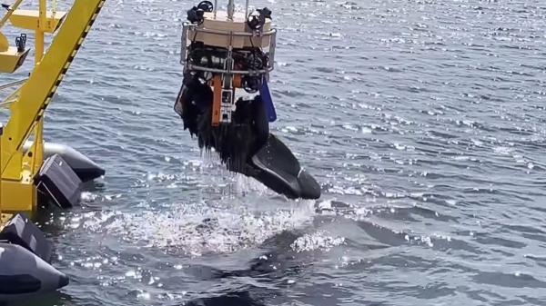 Los biólogos marinos celebran un avance histórico: en Europa un robot ya retira basura del océano con IA - Un robot capaz de levantar 250 kilos sin dañar el ecosistema