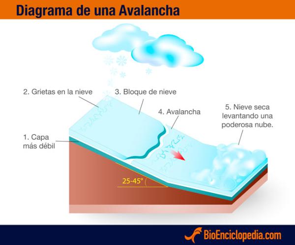 Avalancha - Causas de las avalanchas