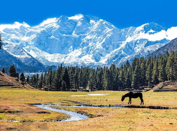 Las montañas más altas del mundo - Nanga Parbat