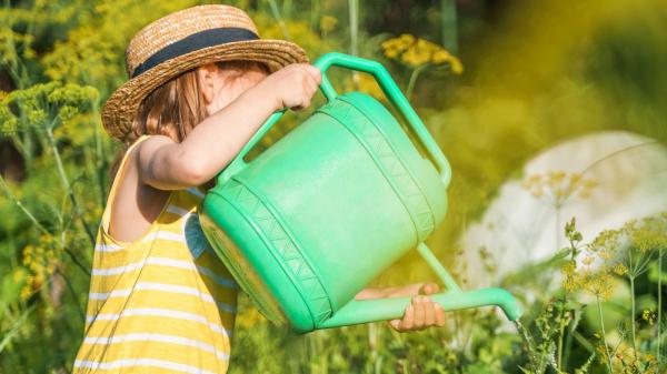 El gesto que parece normal, pero debilita tus plantas en verano - El error es pensar que todas las plantas necesitan más agua en verano