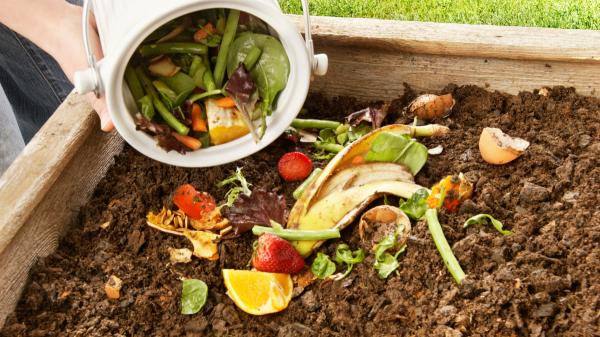 No tires las cáscaras de pistacho, tienen un segundo uso en el jardín: ayudan a mejorar la tierra y frenar plagas - El truco para aprovechar las cáscaras de pistacho en el jardín: añádelas al compost y mejora el suelo