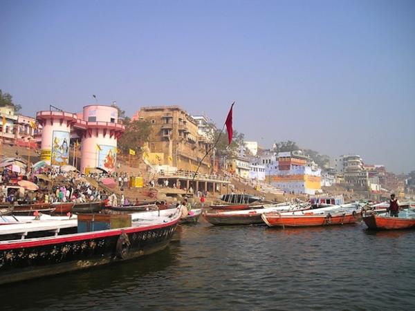 Río Ganges - Flora y fauna