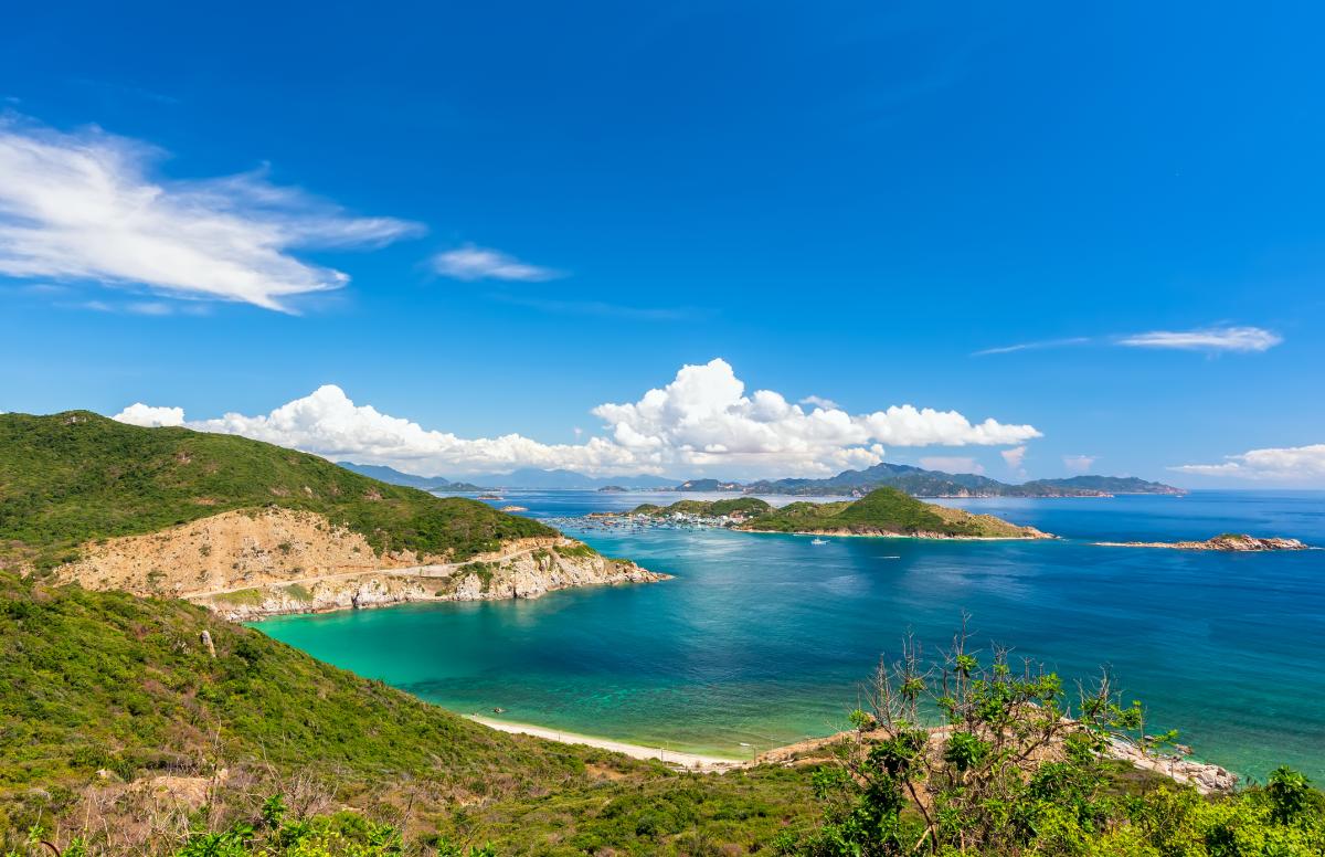 Clima templado: qué es, características, flora y fauna