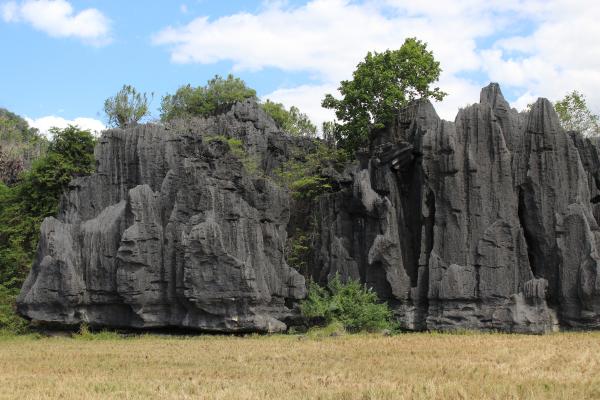 Karst: qué es, características y cómo se forma - Qué es un karst