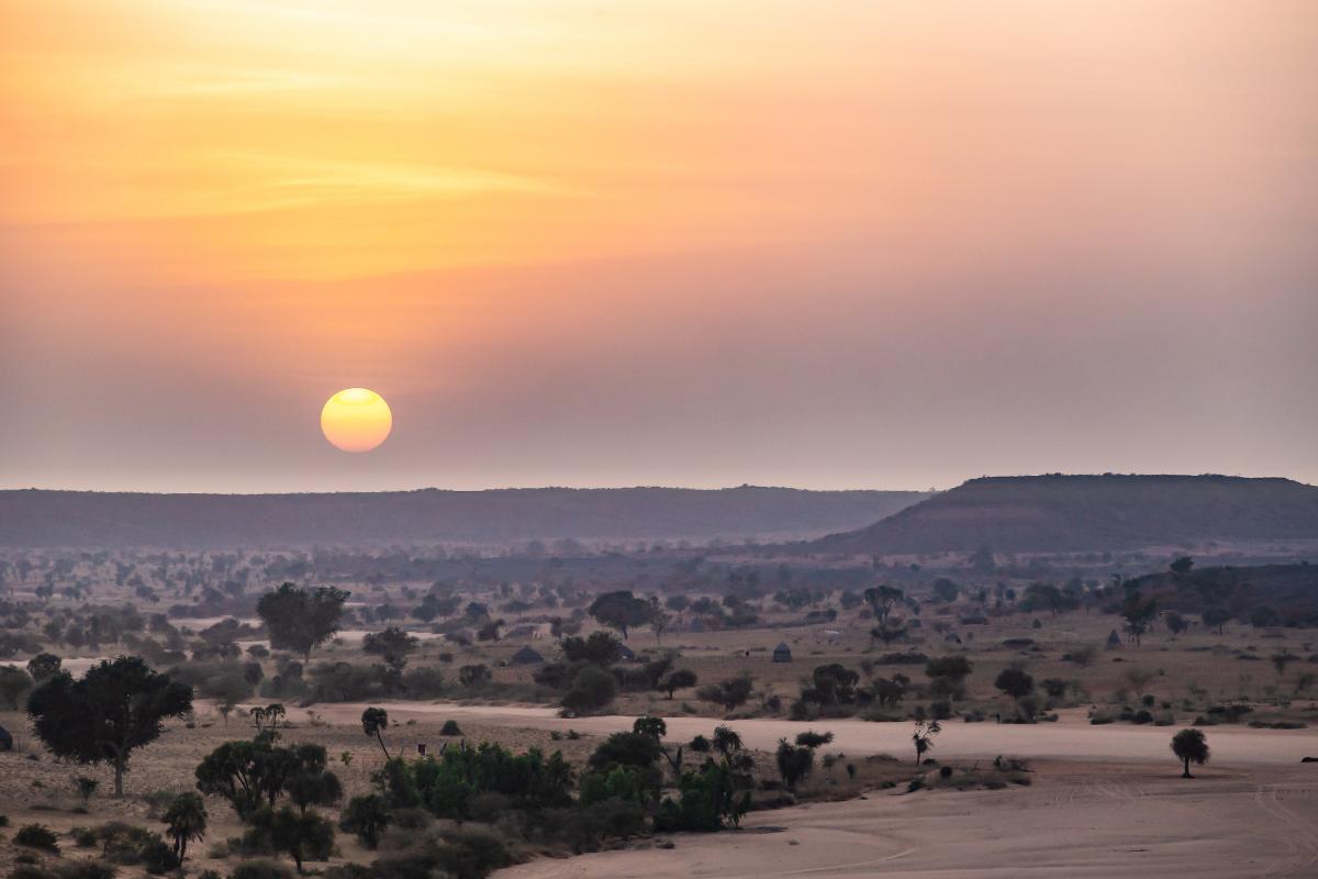 Sahel africano: qué es, países, clima, flora, fauna y conflicto actual