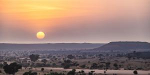 Sahel africano: qué es, países, clima, flora, fauna y conflicto actual