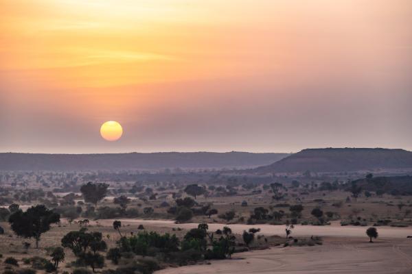 Sahel africano: qué es, países, clima, flora, fauna y conflicto actual