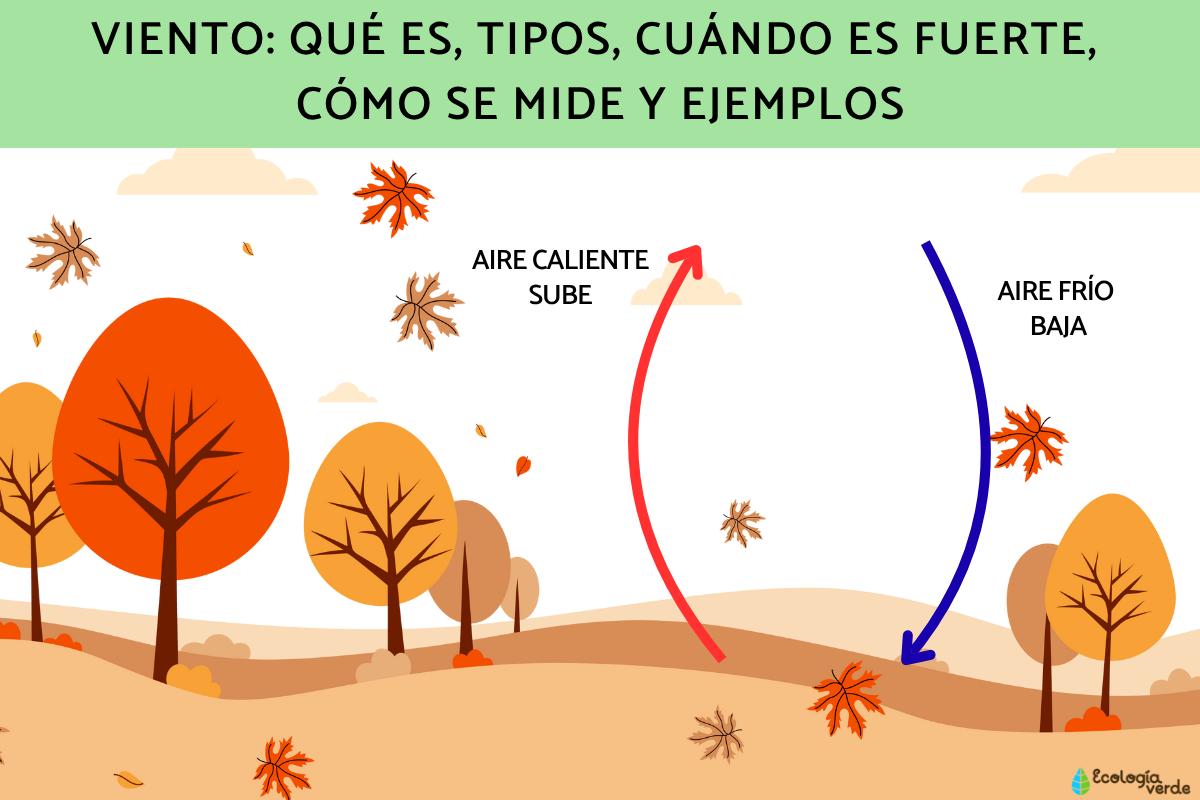 Viento: qué es, tipos, cuándo es fuerte, cómo se mide y ejemplos