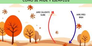 Viento: qué es, tipos, cuándo es fuerte, cómo se mide y ejemplos