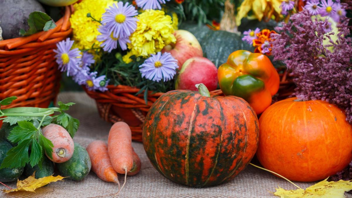 Qué plantar en octubre en el huerto en España: calendario, plantas y tareas importantes para este otoño
