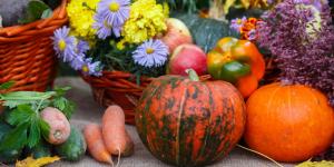 Qué plantar en octubre en el huerto en España: calendario, plantas y tareas importantes para este otoño
