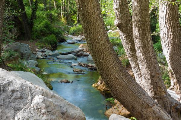 Ríos de Andalucía - Río Andarax