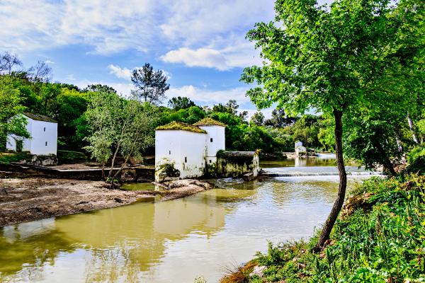 Ríos de Andalucía - Río Guadaíra