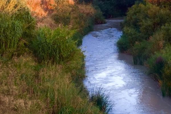 Ríos de Andalucía - Río Guadajoz