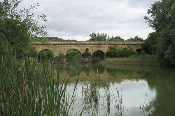 Ríos de Andalucía - Río Guadalmellato