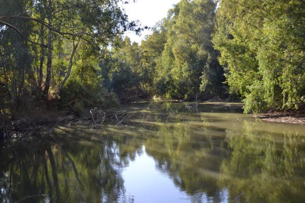 Ríos de Andalucía - Río Guadiamar