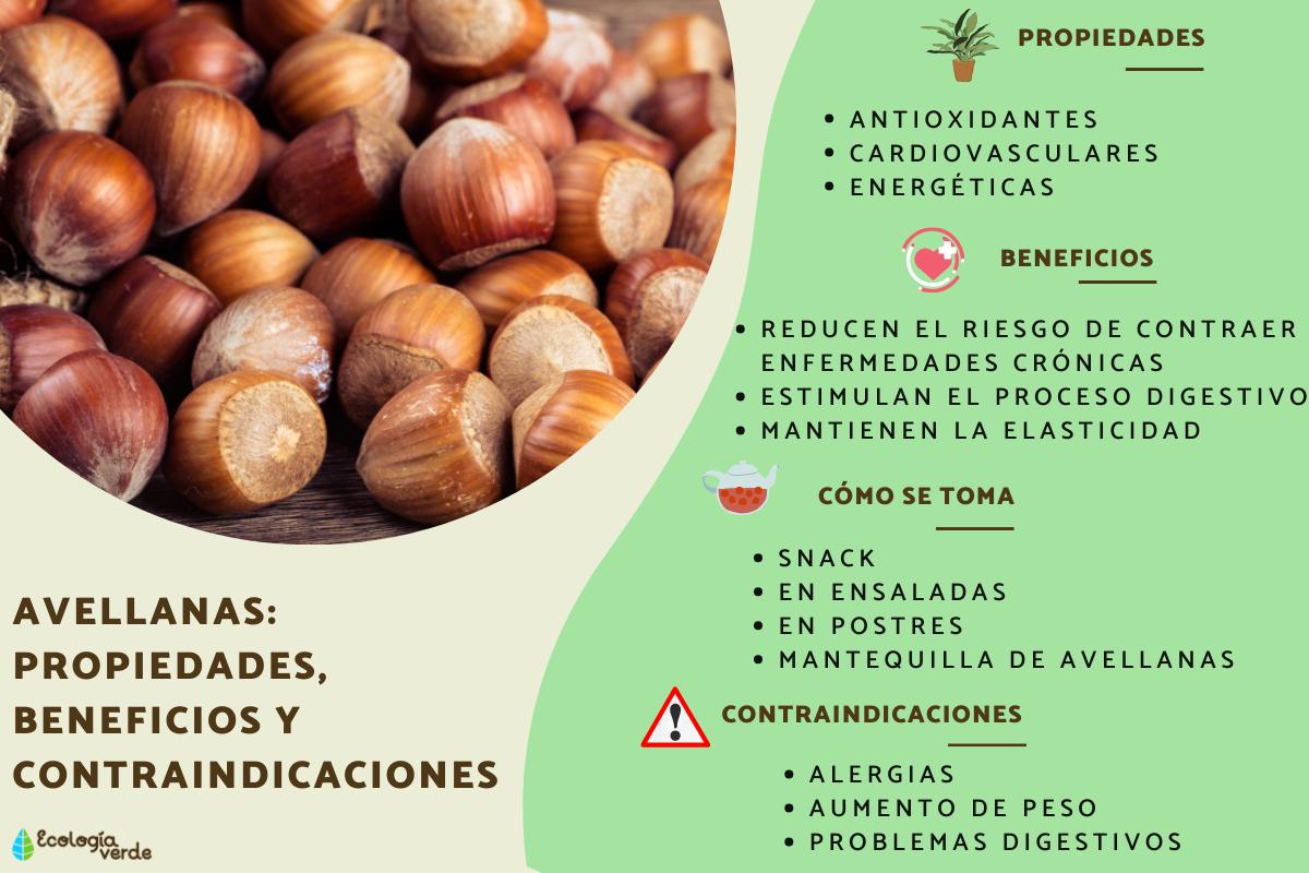 Avellanas: propiedades, beneficios y contraindicaciones