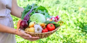 Qué plantar en junio en el huerto en España: calendario, plantas y tareas para mantenerlo