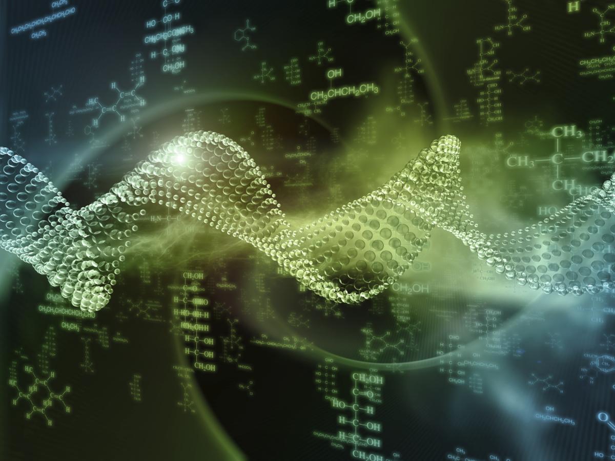 Qué es la selección natural y ejemplos