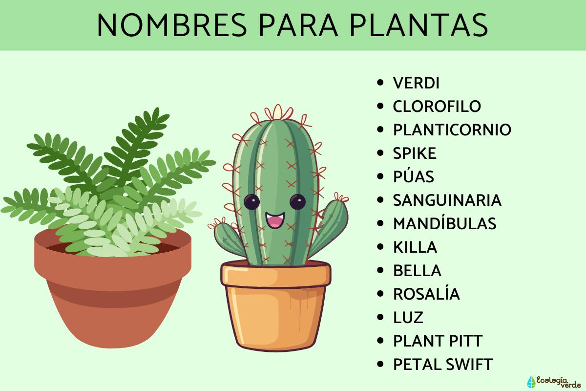 Nombres para plantas