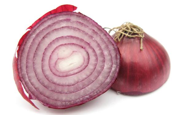 Cebolla - Distribución de la Cebolla