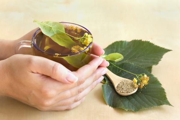 Tila: propiedades, beneficios, cómo preparar el té y contraindicaciones - ¿Cómo se prepara el té de tila?