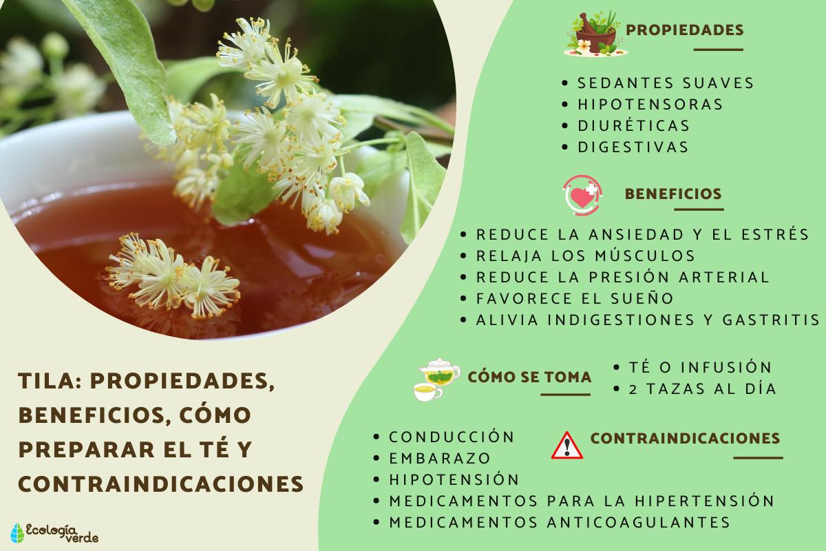 Tila: propiedades, beneficios, cómo preparar el té y contraindicaciones