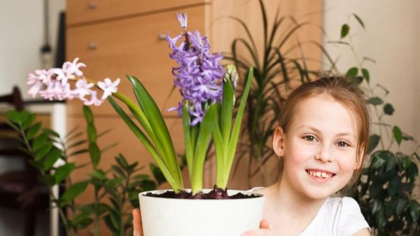 Las mejores plantas para regalar el Día de la Madre (bonitas, resistentes y fáciles de cuidar) - Plantas para regalar a una madre que alegran cualquier rincón