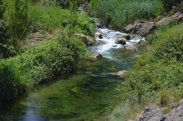 Ríos de Valencia - Río Palancia