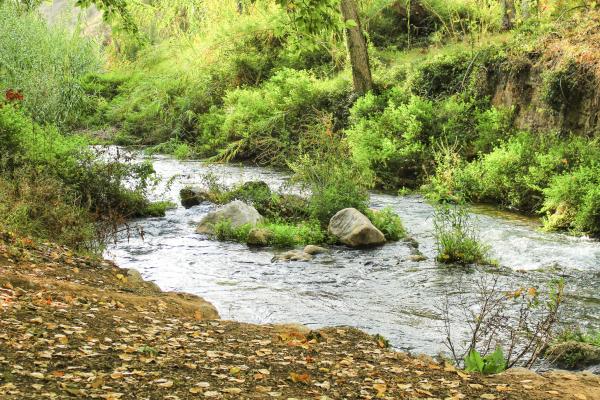 Ríos de Valencia - Río Tuéjar