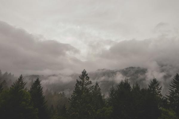 Lluvia horizontal: qué es, dónde ocurre y cómo influye - Qué es la lluvia horizontal y sus características